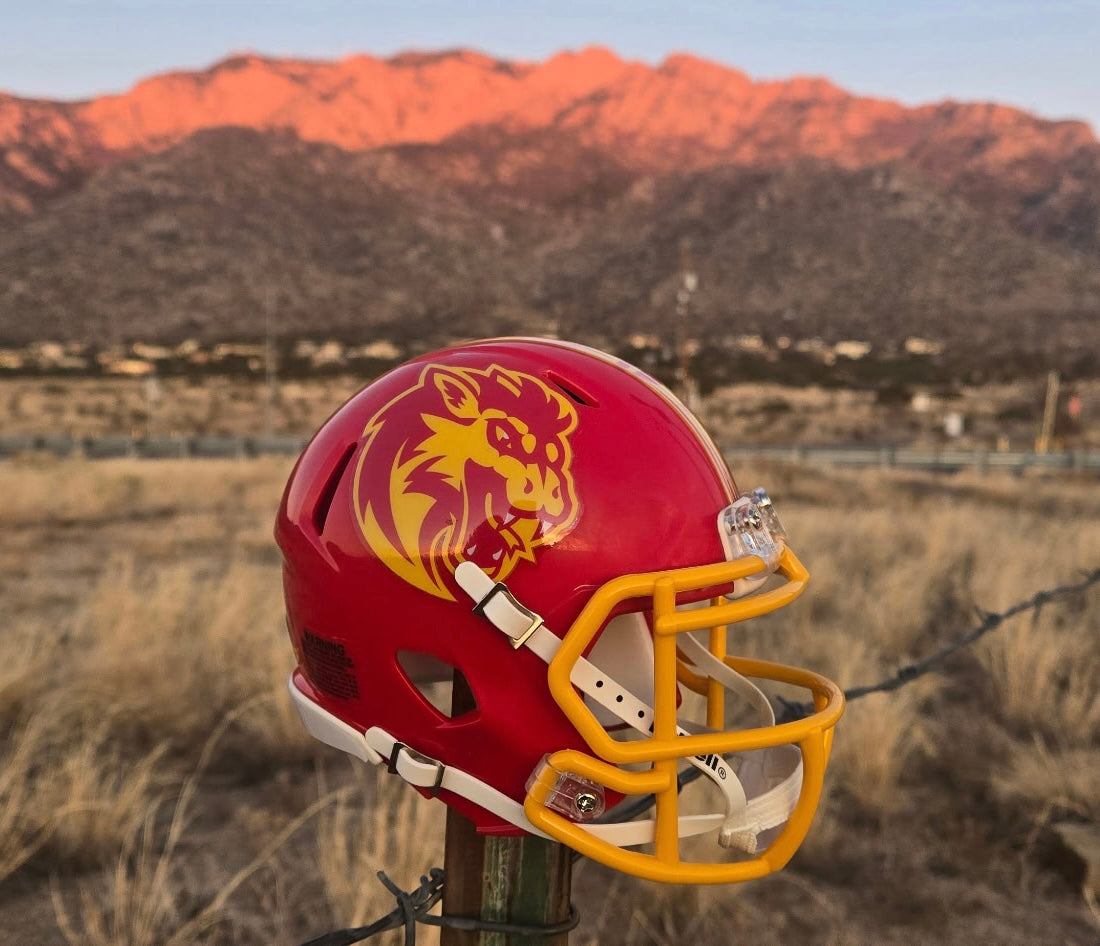 New Mexico Chupacabras Riddell official Mini Helmet